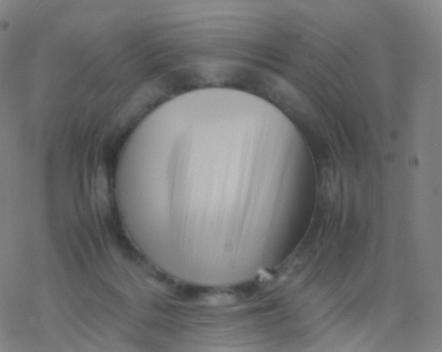 X0000077340220200611101557