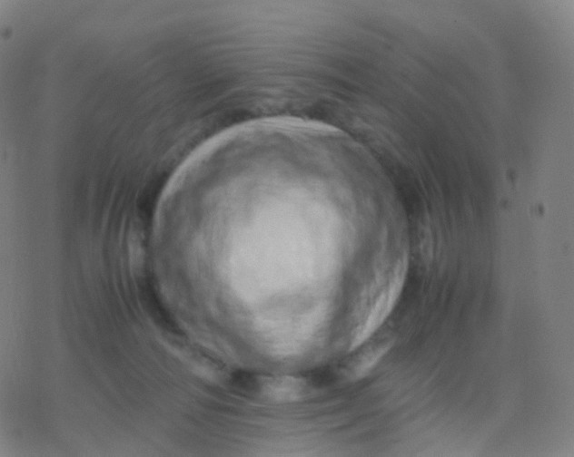 X0000077340226200611101557