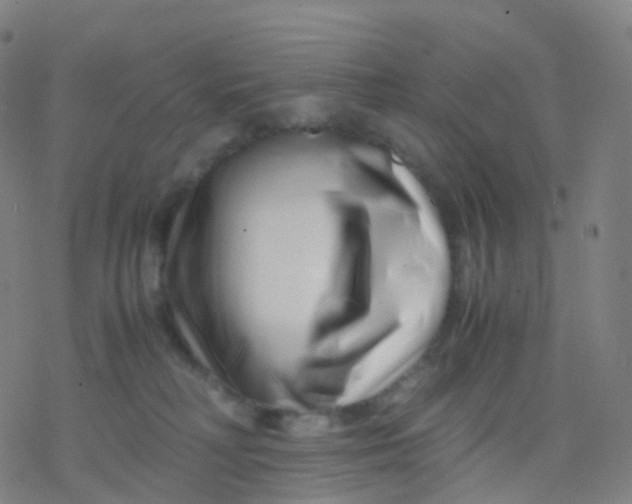 X0000077340230200611101557