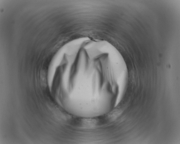 X0000077340234200611101557
