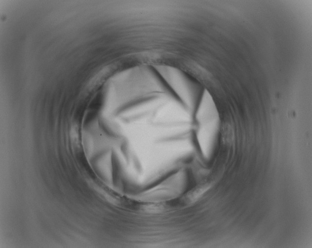 X0000077340238200611101556
