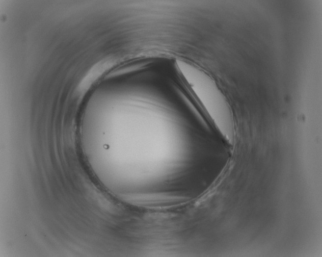 X0000077340242200611101556