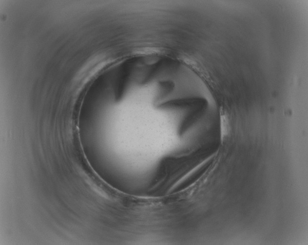 X0000077340243200611101556