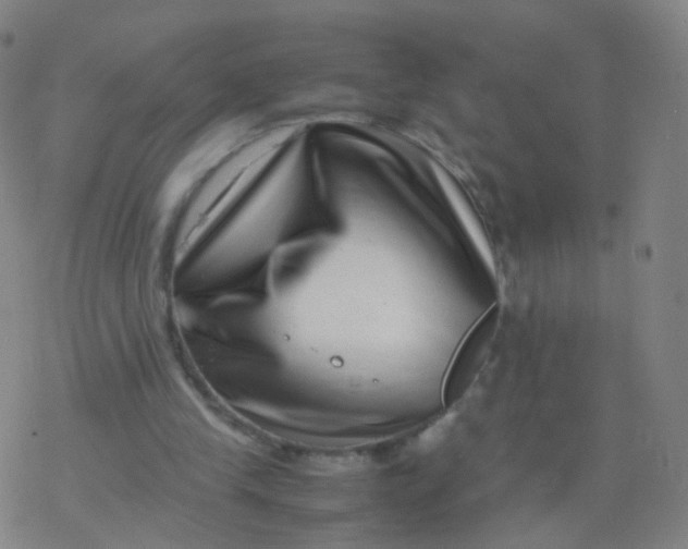 X0000077340245200611101556