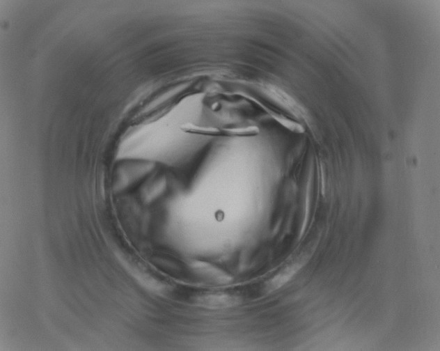 X0000077340253200611101556