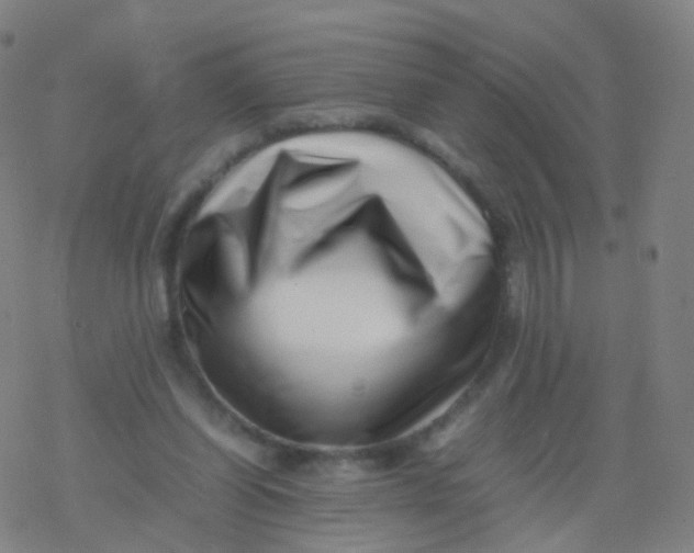 X0000077340254200611101556