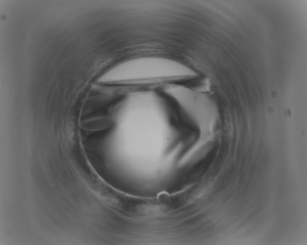 X0000077340255200611101556