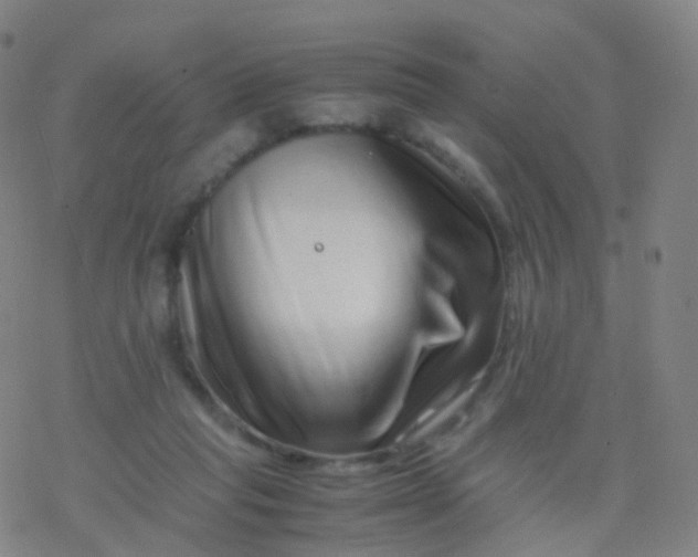 X0000077340261200611101556