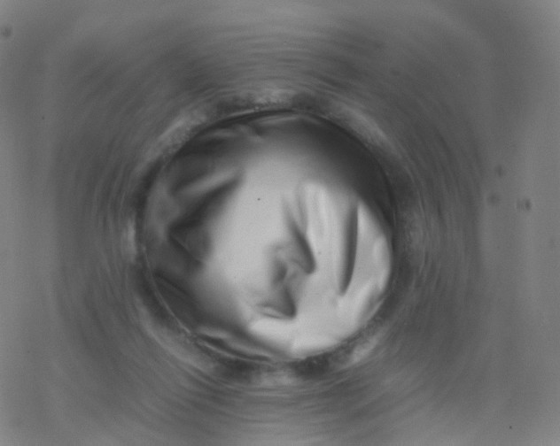 X0000077340262200611101556