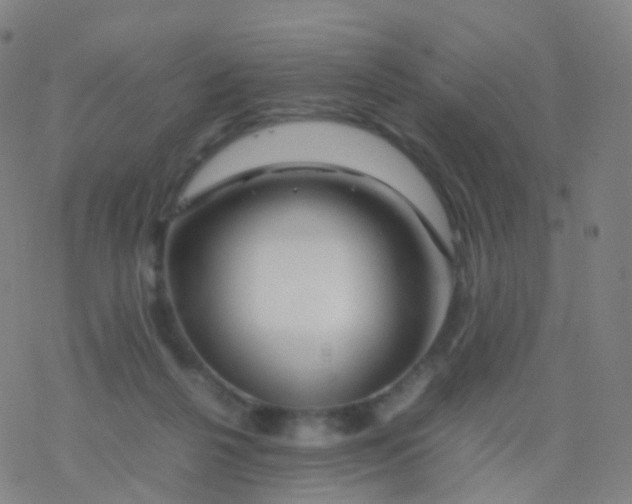 X0000077340264200611101556