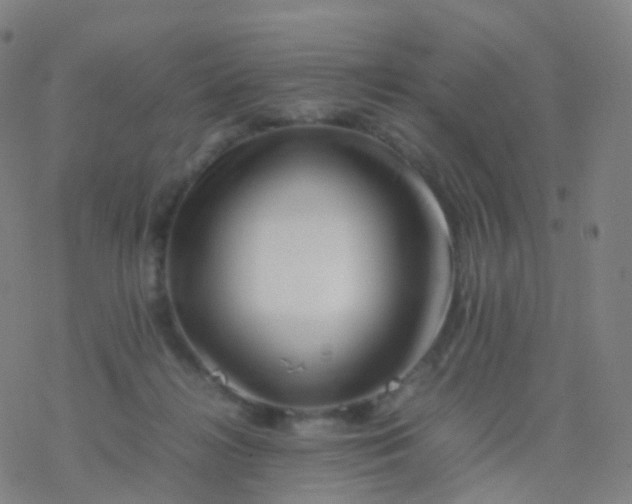 X0000077340268200611101556