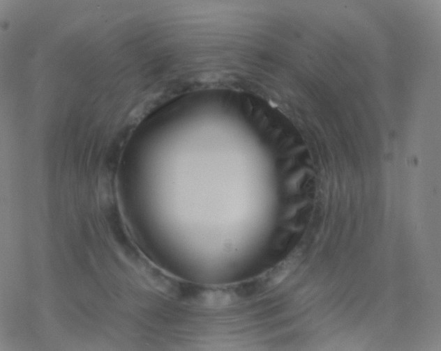 X0000077340272200611101556