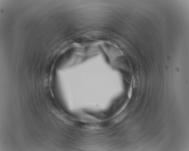 X0000077340284200611101556