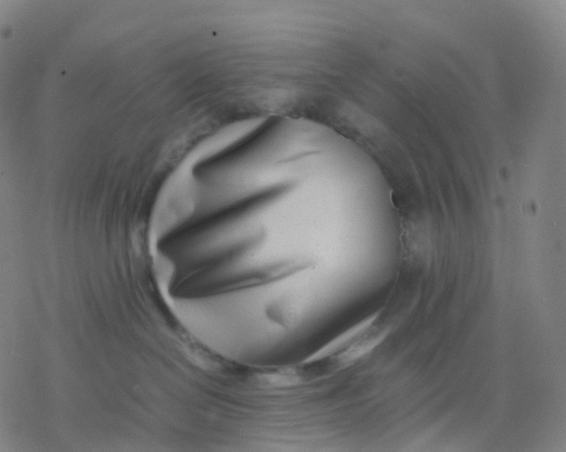 X0000077340286200611101556