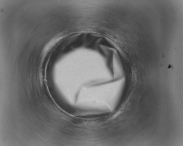 X0000077340294200611101556