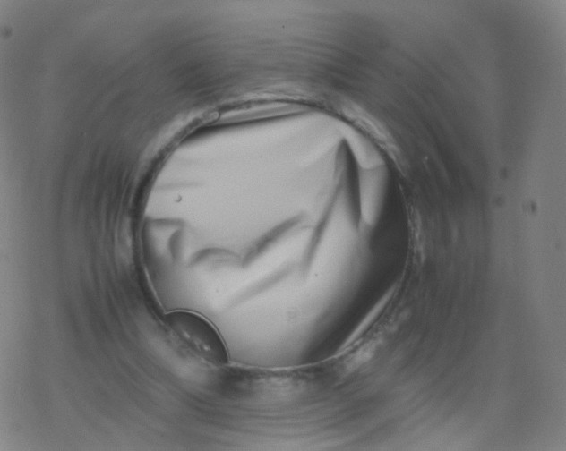 X0000077340298200611101555