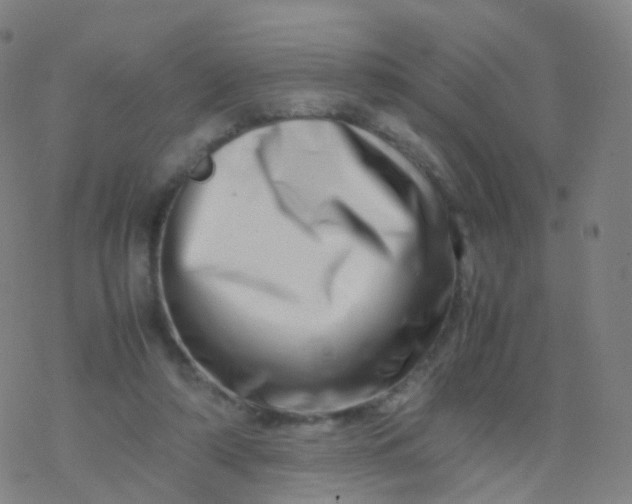 X0000077340306200611101555