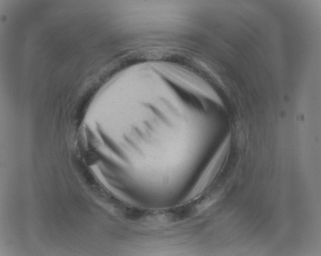 X0000077340307200611101555