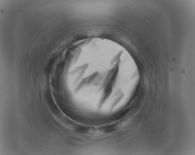 X0000077340311200611101555