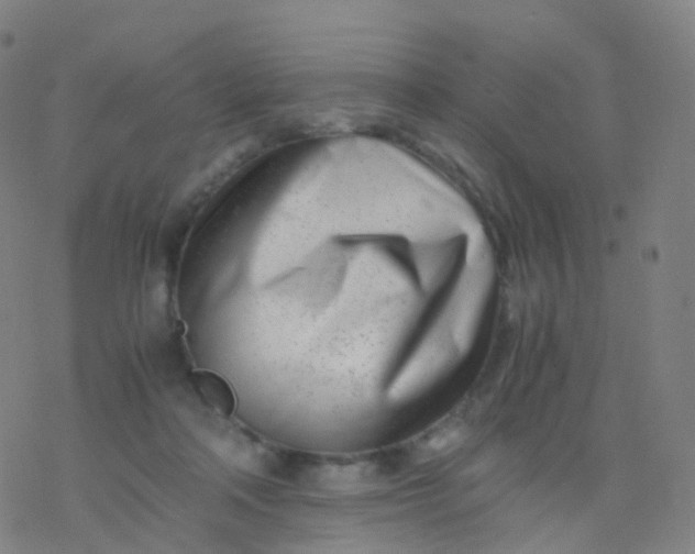 X0000077340314200611101555