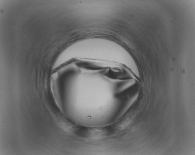 X0000077340315200611101555