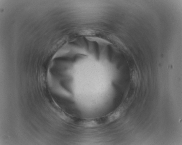 X0000077340322200611101555