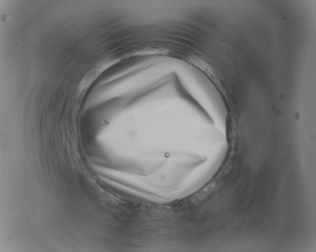 X0000077340337200611101554