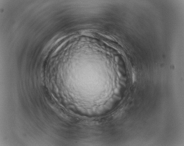 X0000077340339200611101554