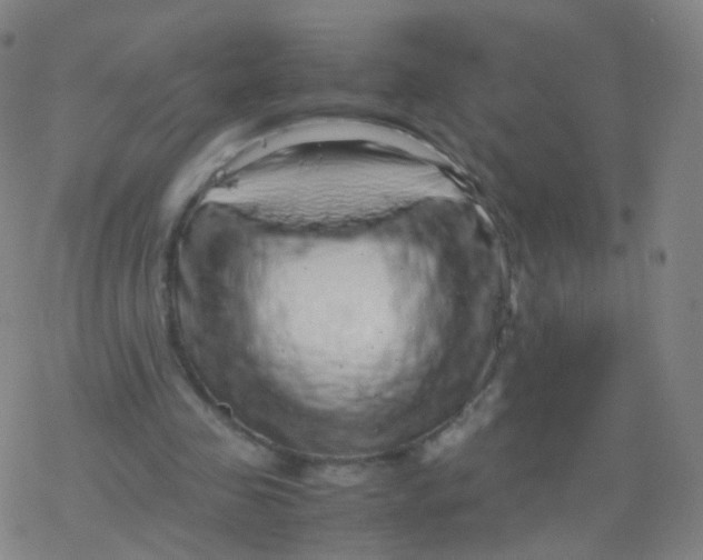 X0000077340341200611101554