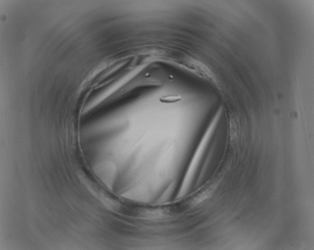 X0000077340349200611101554