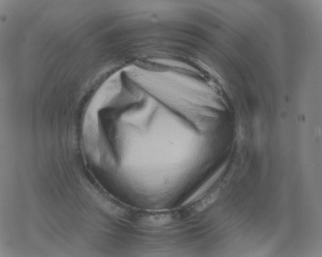 X0000077340353200611101554