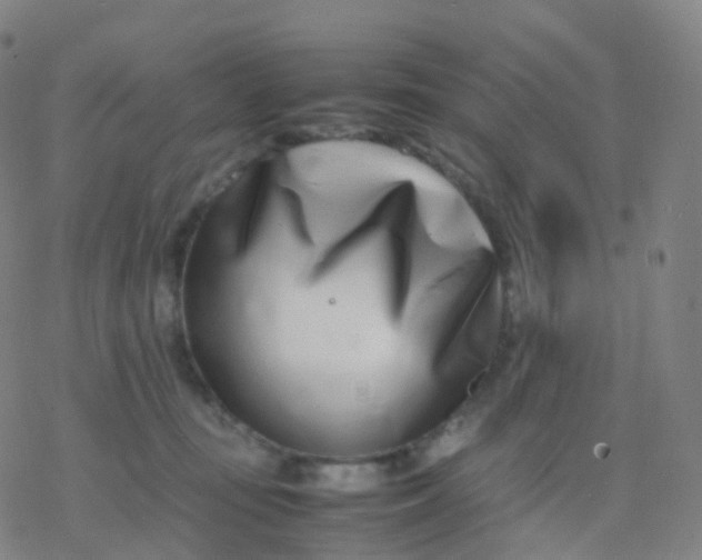 X0000077340371200611101555