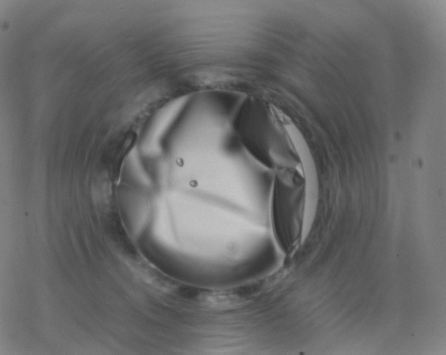 X0000077340372200611101555