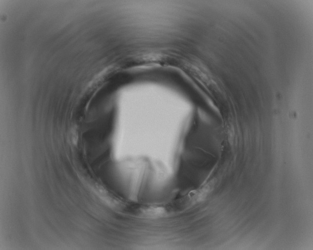 X0000077340374200611101555