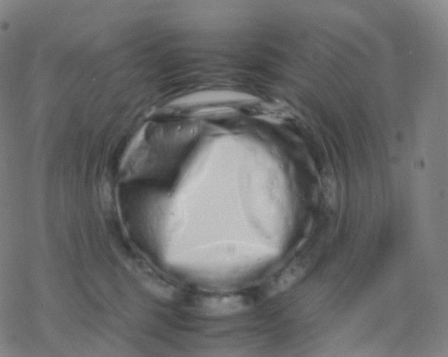 X0000077340375200611101555