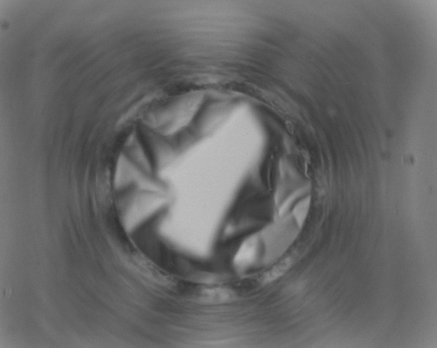 X0000077340376200611101555