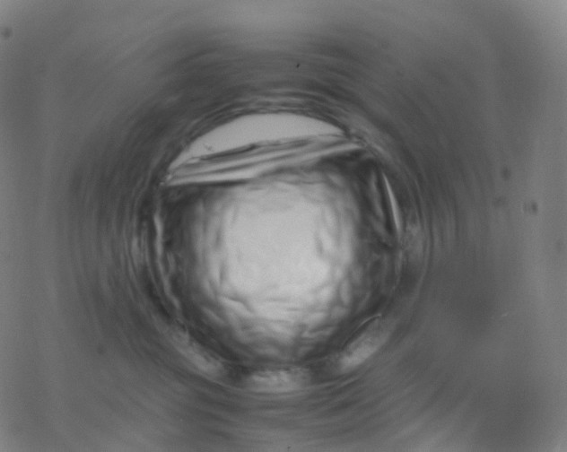 X0000077340381200611101555