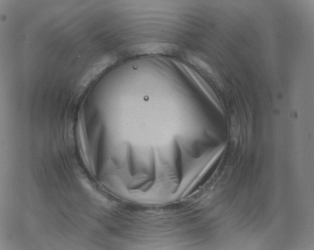 X0000077340394200611101554