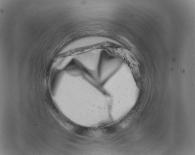 X0000077340405200611101554