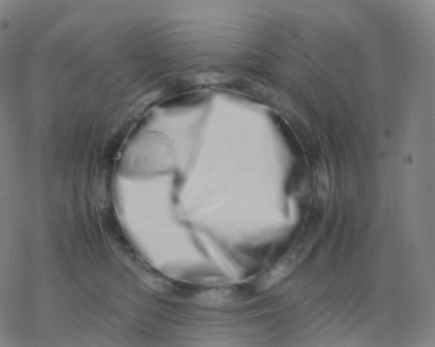 X0000077340422200611101553
