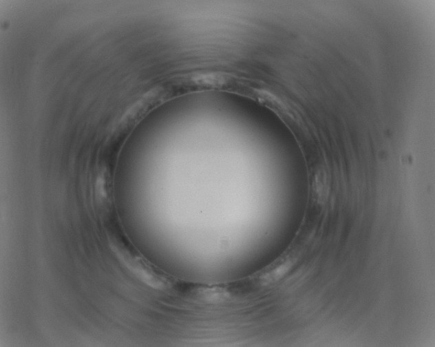 X0000077340424200611101553