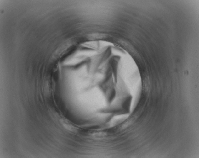 X0000077340426200611101553