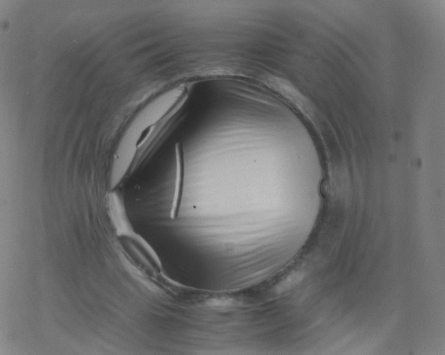 X0000077340441200611101553