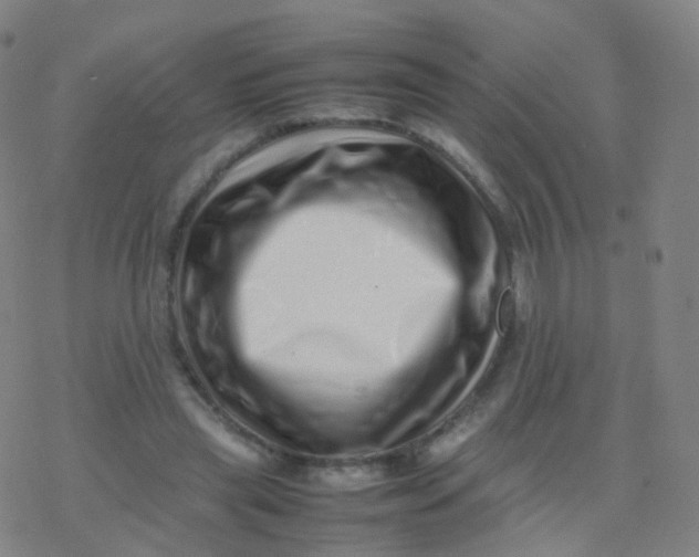 X0000077340445200611101553