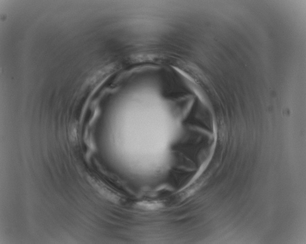 X0000077340477200611101553