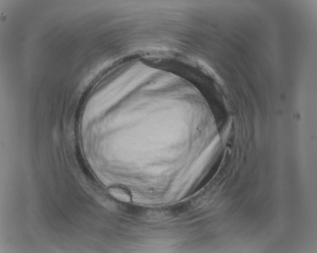 X0000077340487200611101552