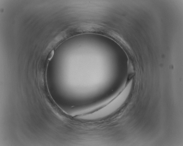 X0000077340489200611101552