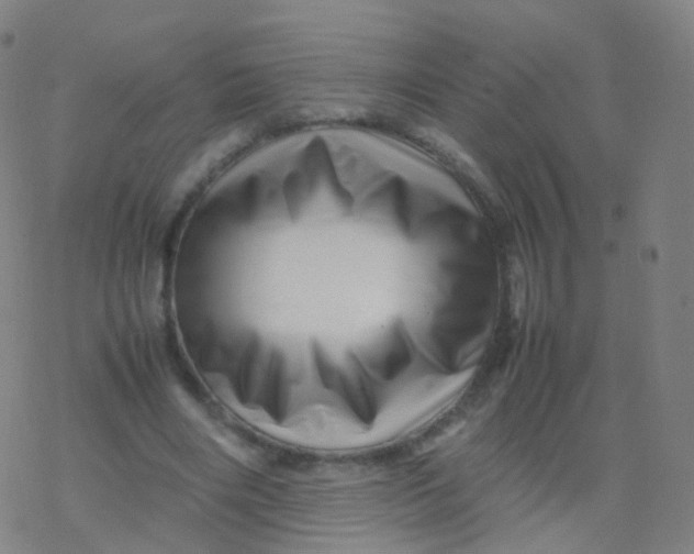 X0000077340490200611101552
