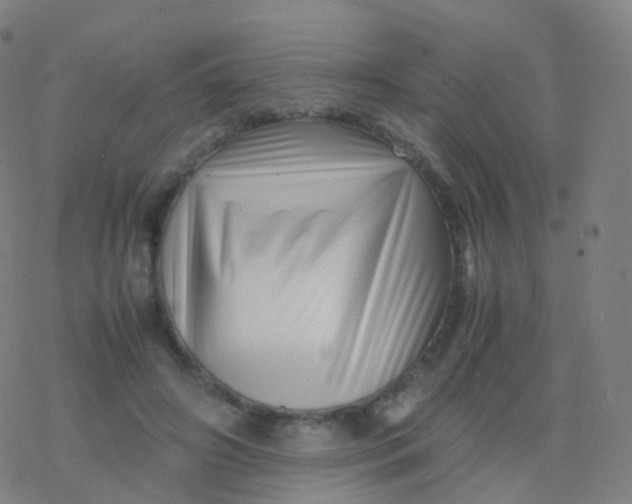 X0000077340498200611101552