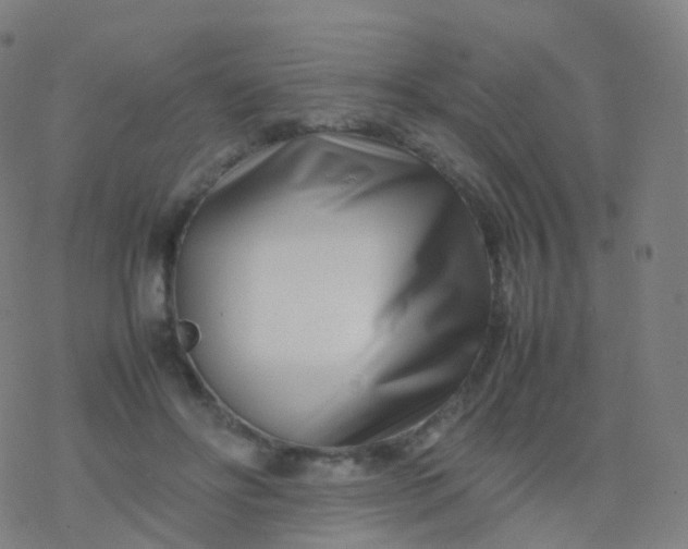 X0000077340502200611101552